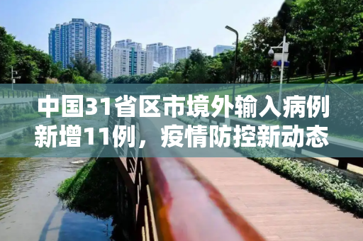 中国31省区市境外输入病例新增11例，疫情防控新动态,31省区市新增境外输入11例