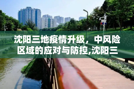 沈阳三地疫情升级，中风险区域的应对与防控,沈阳三地升为中风险