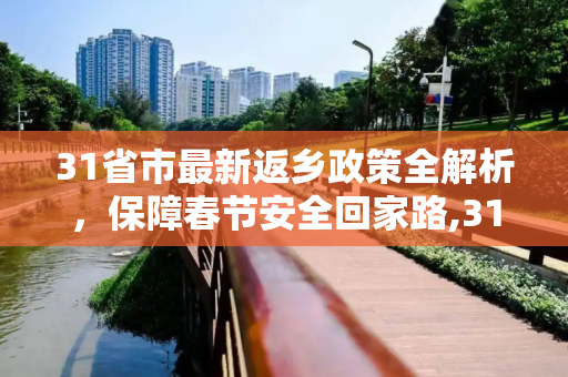 31省市最新返乡政策全解析，保障春节安全回家路,31省市最新返乡政策
