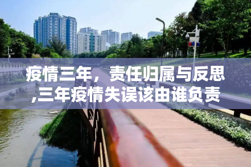 疫情三年，责任归属与反思,三年疫情失误该由谁负责？