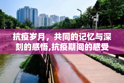 抗疫岁月，共同的记忆与深刻的感悟,抗疫期间的感受与回忆
