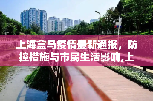 上海盒马疫情最新通报，防控措施与市民生活影响,上海盒马疫情最新通报