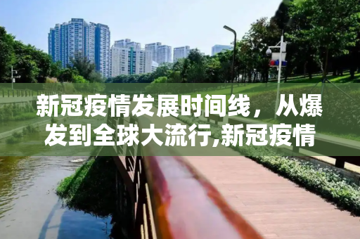 新冠疫情发展时间线，从爆发到全球大流行,新冠疫情发展时间线
