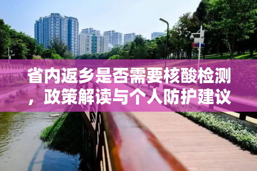 省内返乡是否需要核酸检测，政策解读与个人防护建议,省内返乡需要做核酸检测吗