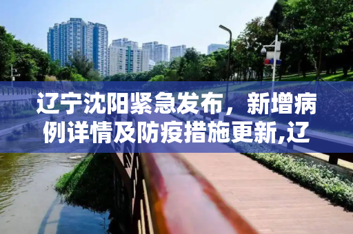辽宁沈阳紧急发布，新增病例详情及防疫措施更新,辽宁沈阳发布新增病例详情