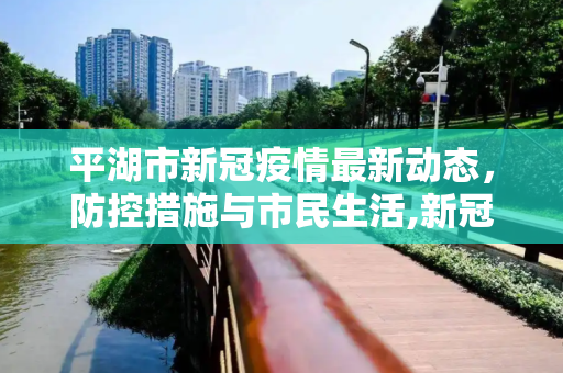 平湖市新冠疫情最新动态，防控措施与市民生活,新冠疫情最新消平湖