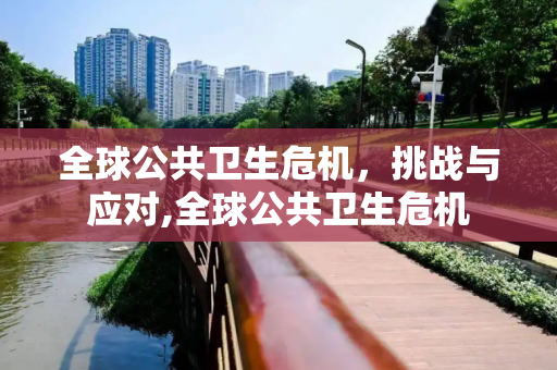 全球公共卫生危机，挑战与应对,全球公共卫生危机