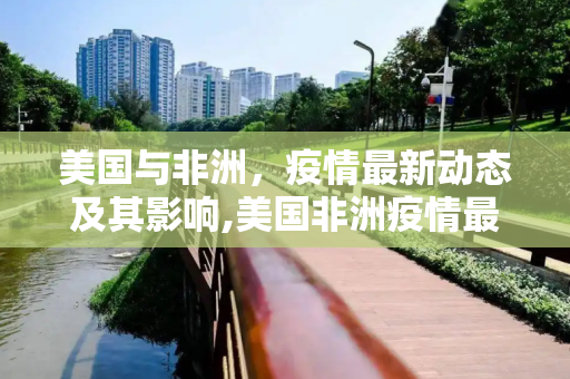 美国与非洲，疫情最新动态及其影响,美国非洲疫情最新消息