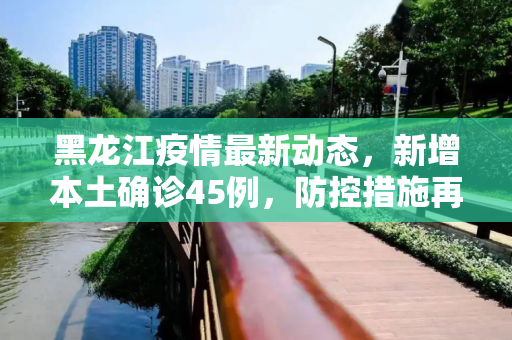 黑龙江疫情最新动态，新增本土确诊45例，防控措施再升级,黑龙江新增本土确诊45例