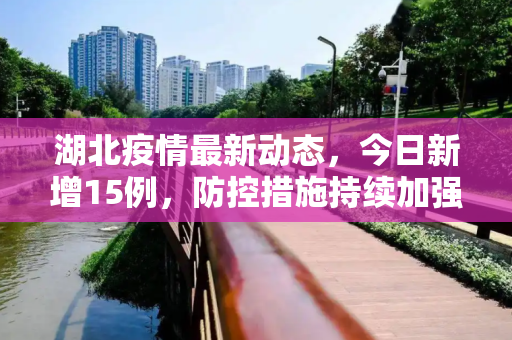 湖北疫情最新动态，今日新增15例，防控措施持续加强,湖北疫情最新消息今天新增了15例