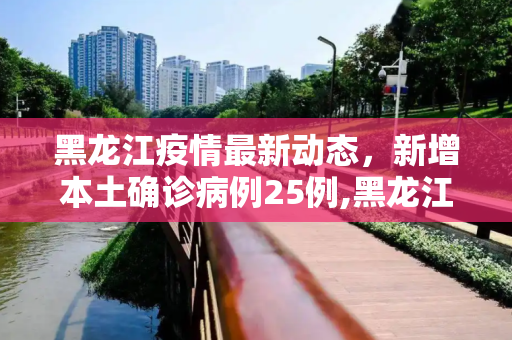 黑龙江疫情最新动态，新增本土确诊病例25例,黑龙江新增本土确诊病例25例