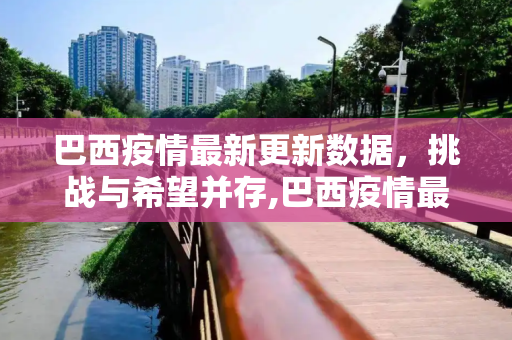 巴西疫情最新更新数据，挑战与希望并存,巴西疫情最新的更新数据