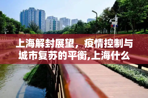 上海解封展望，疫情控制与城市复苏的平衡,上海什么时候能解封