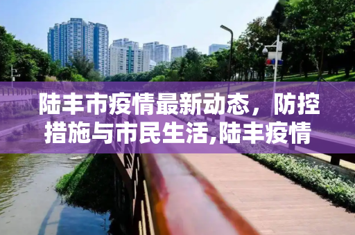 陆丰市疫情最新动态，防控措施与市民生活,陆丰疫情最新动态