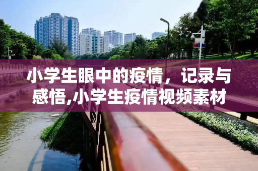 小学生眼中的疫情，记录与感悟,小学生疫情视频素材