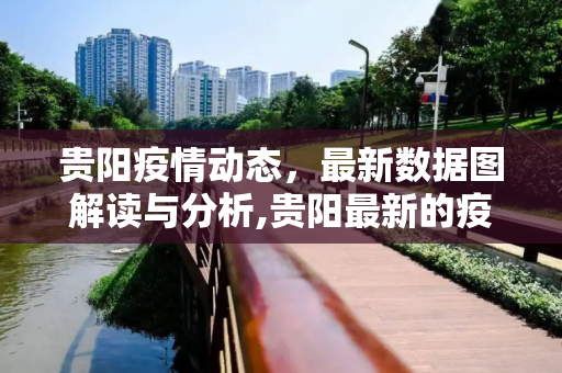 贵阳疫情动态，最新数据图解读与分析,贵阳最新的疫情数据图