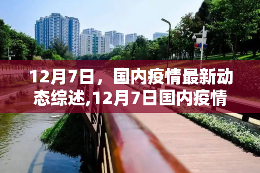 12月7日，国内疫情最新动态综述,12月7日国内疫情最新动态