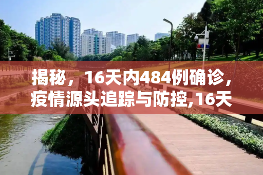 揭秘，16天内484例确诊，疫情源头追踪与防控,16天确诊484例疫情源头在哪