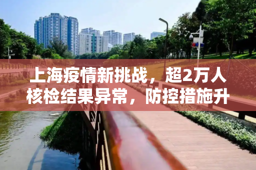 上海疫情新挑战，超2万人核检结果异常，防控措施升级,上海超2万人核检结果异常