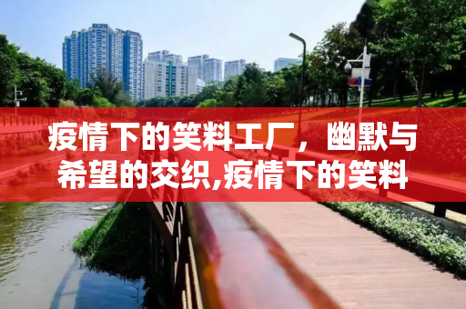 疫情下的笑料工厂，幽默与希望的交织,疫情下的笑料工厂