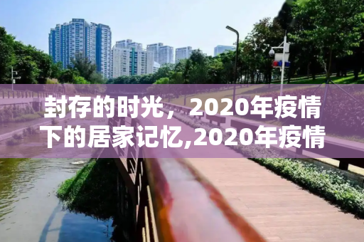 封存的时光，2020年疫情下的居家记忆,2020年疫情封家记忆