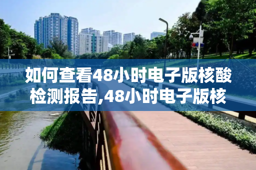 如何查看48小时电子版核酸检测报告,48小时电子版核酸检测报告在哪看