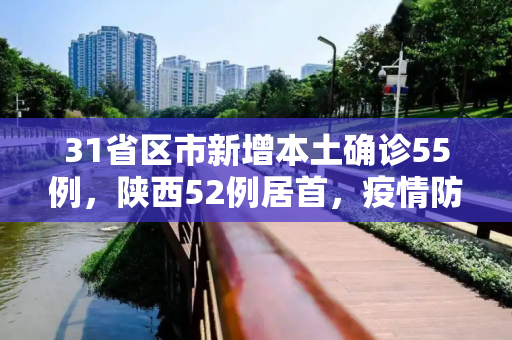 31省区市新增本土确诊55例，陕西52例居首，疫情防控形势严峻,31省区市新增本土确诊55例陕西52例