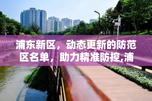 浦东新区，动态更新的防范区名单，助力精准防控,浦东新区防范区名单