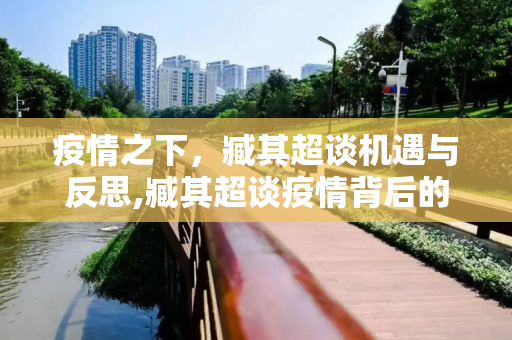 疫情之下，臧其超谈机遇与反思,臧其超谈疫情背后的机遇与反思