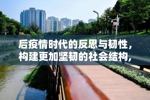 后疫情时代的反思与韧性，构建更加坚韧的社会结构,后疫情时代的反思与韧性