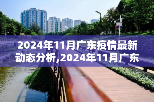 2024年11月广东疫情最新动态分析,2024年11月广东疫情最新动态分析