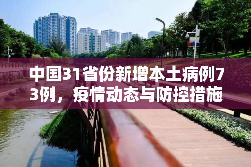 中国31省份新增本土病例73例，疫情动态与防控措施,31省份增本土73例