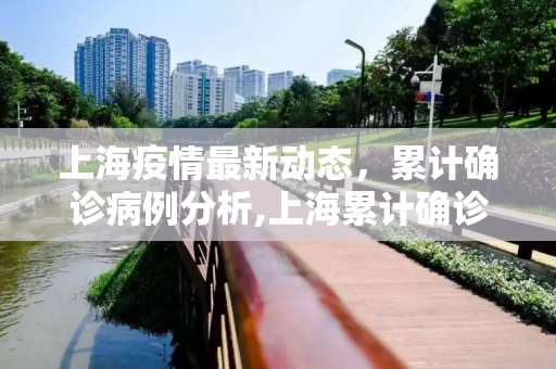上海疫情最新动态，累计确诊病例分析,上海累计确诊病例