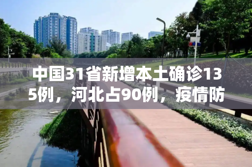 中国31省新增本土确诊135例，河北占90例，疫情防控形势严峻,31省新增本土确诊135例:河北90例