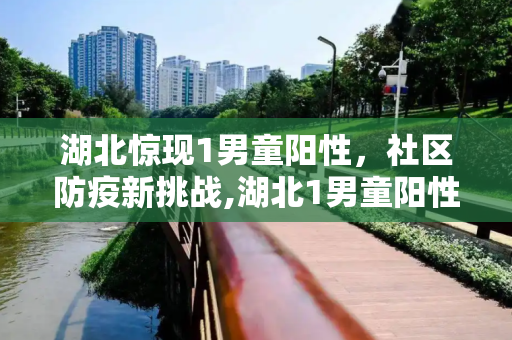 湖北惊现1男童阳性，社区防疫新挑战,湖北1男童阳性