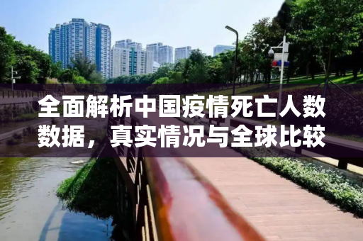 全面解析中国疫情死亡人数数据，真实情况与全球比较,中国疫情死亡人数数据全面解析