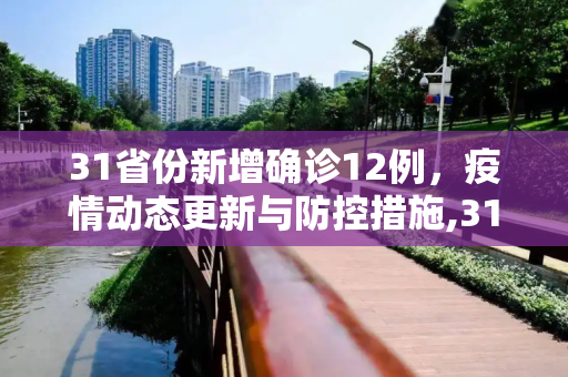 31省份新增确诊12例，疫情动态更新与防控措施,31省份新增确诊12例