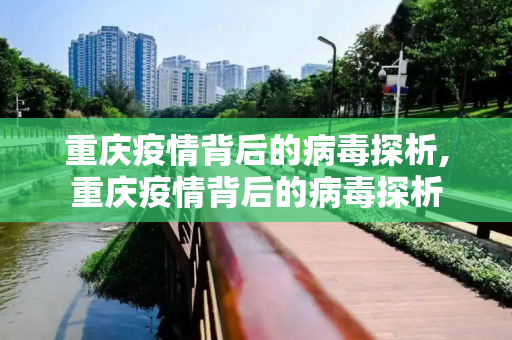 重庆疫情背后的病毒探析,重庆疫情背后的病毒探析
