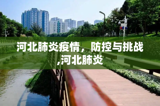 河北肺炎疫情，防控与挑战,河北肺炎