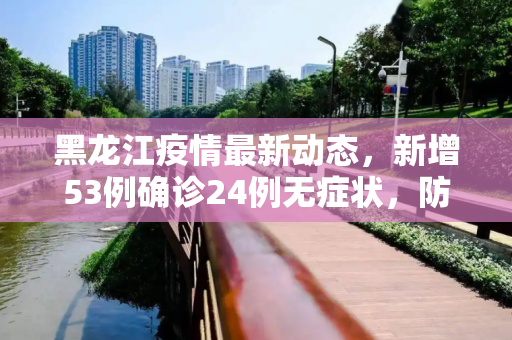 黑龙江疫情最新动态，新增53例确诊24例无症状，防控措施加强,黑龙江新增53例确诊24例无症状