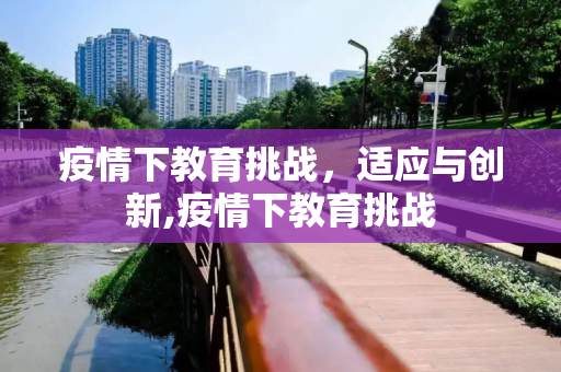 疫情下教育挑战，适应与创新,疫情下教育挑战