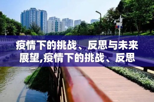 疫情下的挑战、反思与未来展望,疫情下的挑战、反思与未来展望