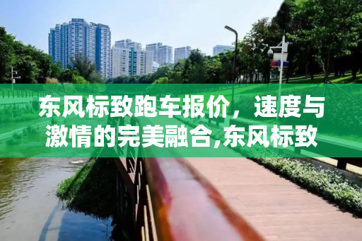 东风标致跑车报价，速度与激情的完美融合,东风标致跑车报价