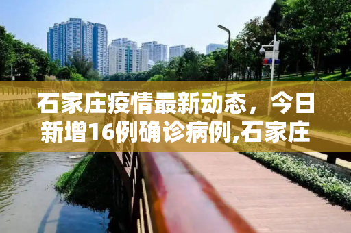石家庄疫情最新动态，今日新增16例确诊病例,石家庄今日新增16例确诊病例