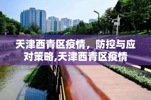 天津西青区疫情，防控与应对策略,天津西青区疫情