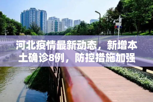 河北疫情最新动态，新增本土确诊8例，防控措施加强,河北新增本土确诊8例
