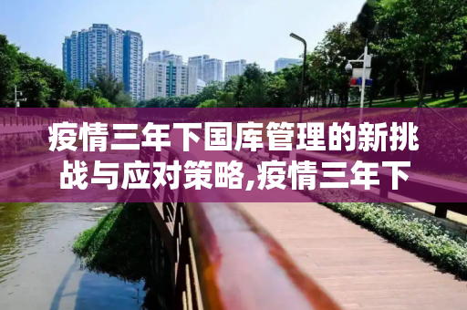 疫情三年下国库管理的新挑战与应对策略,疫情三年下国库管理的新挑战与应对策略