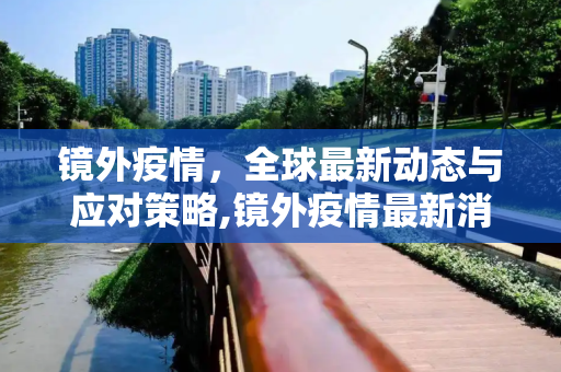 镜外疫情，全球最新动态与应对策略,镜外疫情最新消息