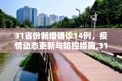 31省份新增确诊14例，疫情动态更新与防控措施,31省份新增确诊14例