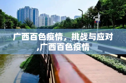 广西百色疫情，挑战与应对,广西百色疫情